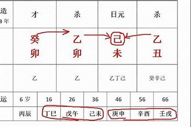 1966属马的2024年运势如何