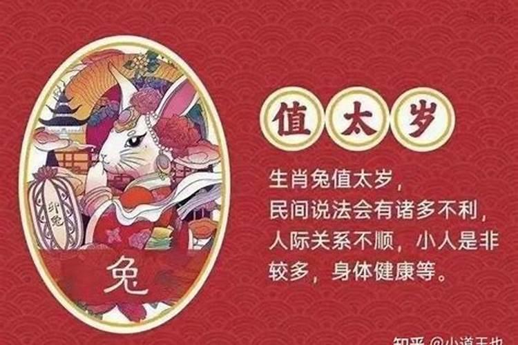 属兔的哪一年犯太岁