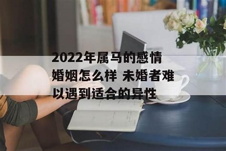 2022年属马的感情