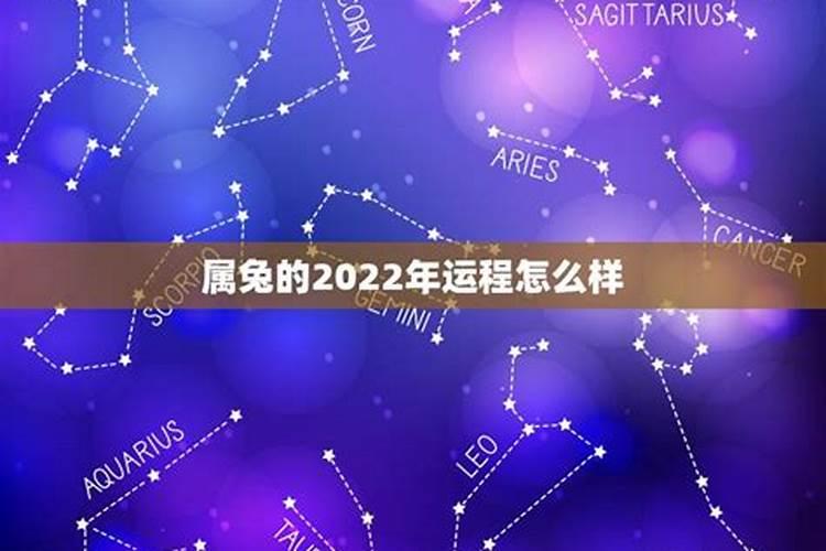 属兔2022年的运势怎么样