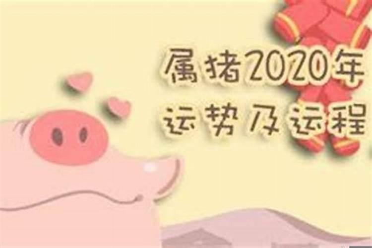 2019年属猪是木命还是土命