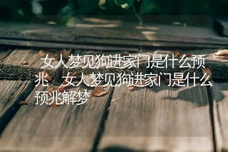 女人最近都梦见狗什么征兆