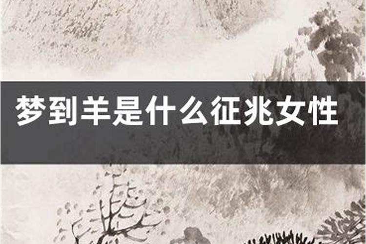 梦到羊和狗是什么意思