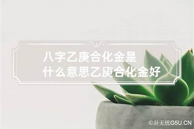 八字里最好的合化是乙庚合