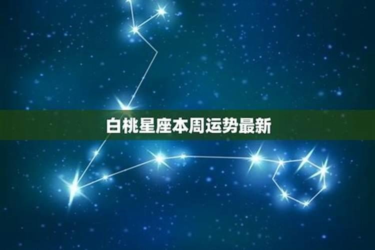 十二月星座运势桃白白