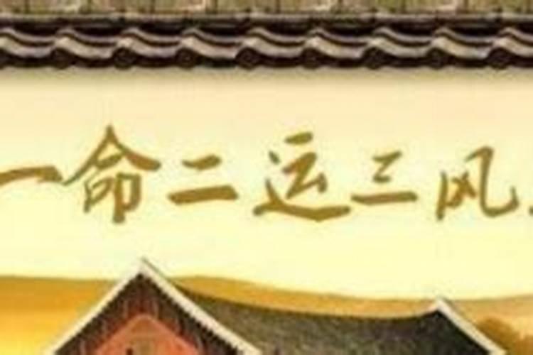 八字排盘宝怎么解看