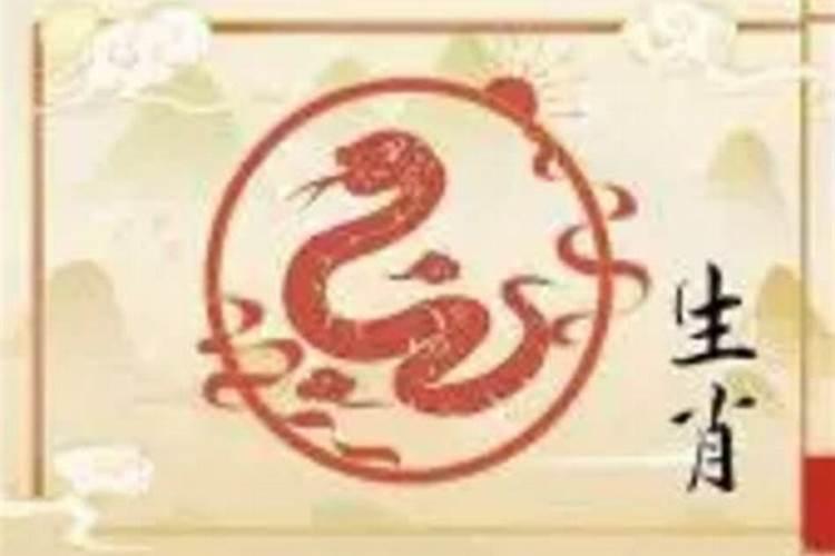 八字不合两个老婆怎么办呀