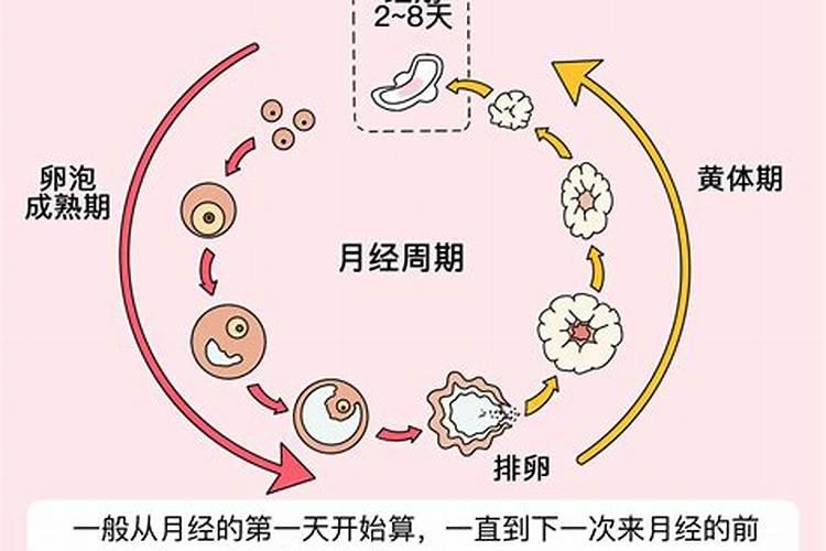 测算婚姻财产吗