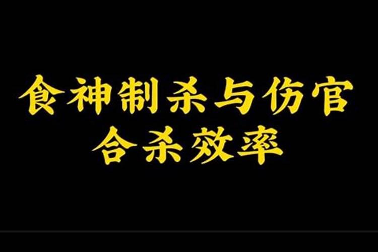 石家庄清明节适合去哪里玩儿