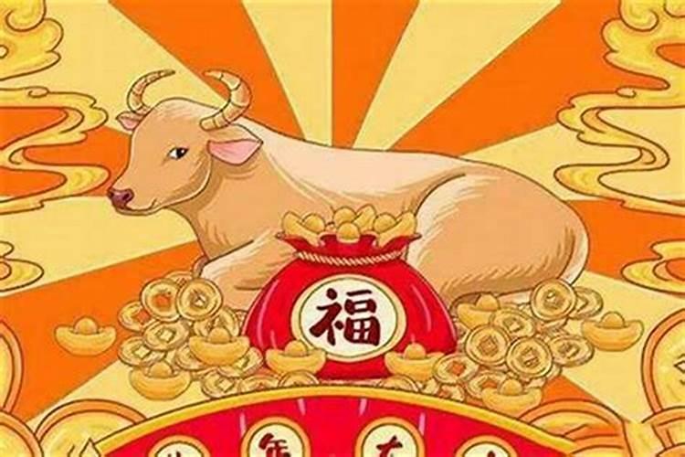 属猪人的今年运气怎么样