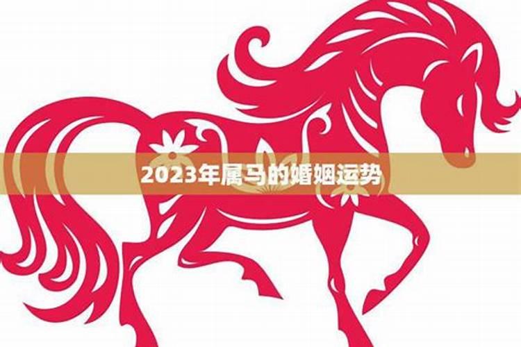 2023年生肖马的婚姻运程怎样呢？