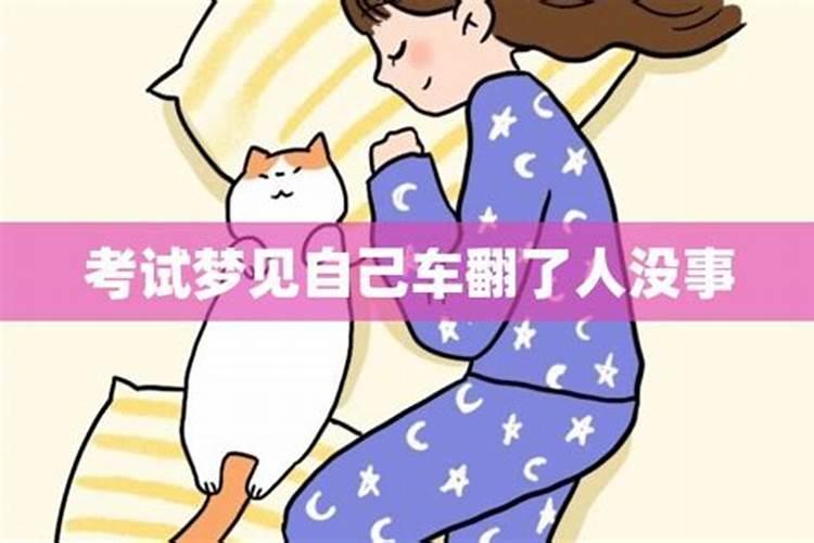 梦见猫是什么预兆女性朋友