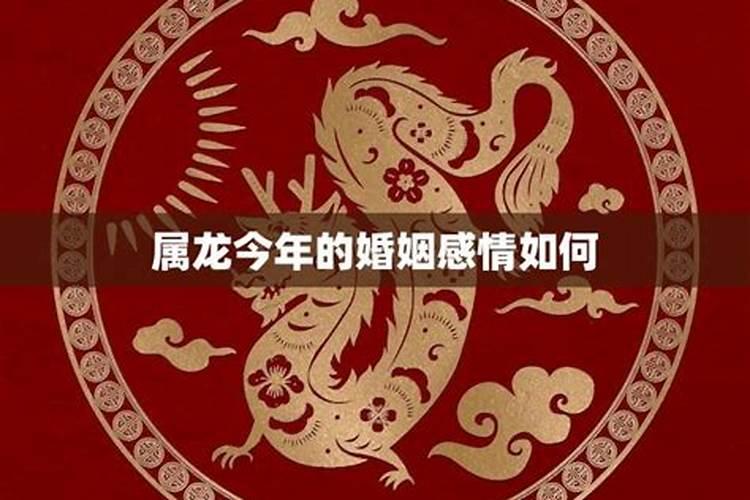 2023年属龙人的感情婚姻