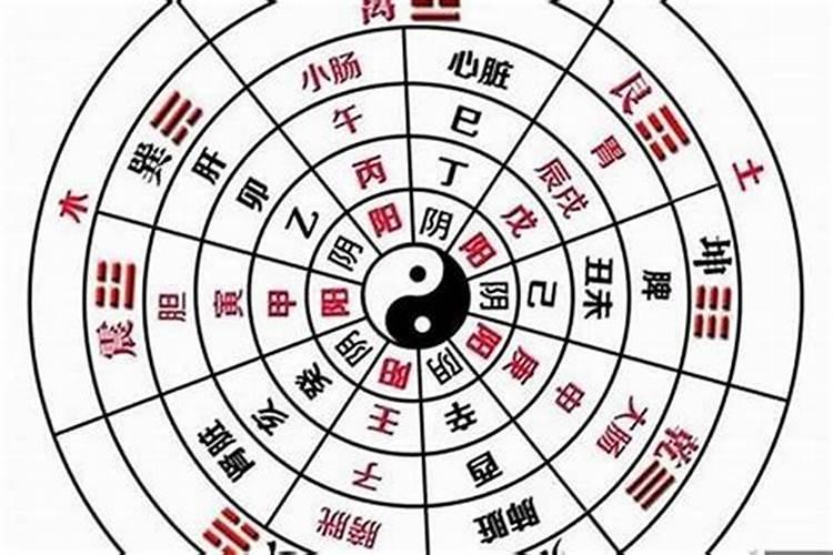 纯阳八字和纯阴八字结合好不好呀