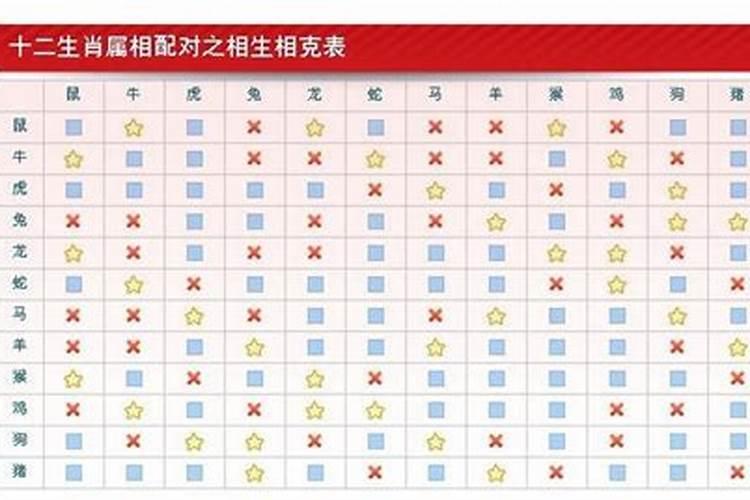 古代的属相配有科学依据吗