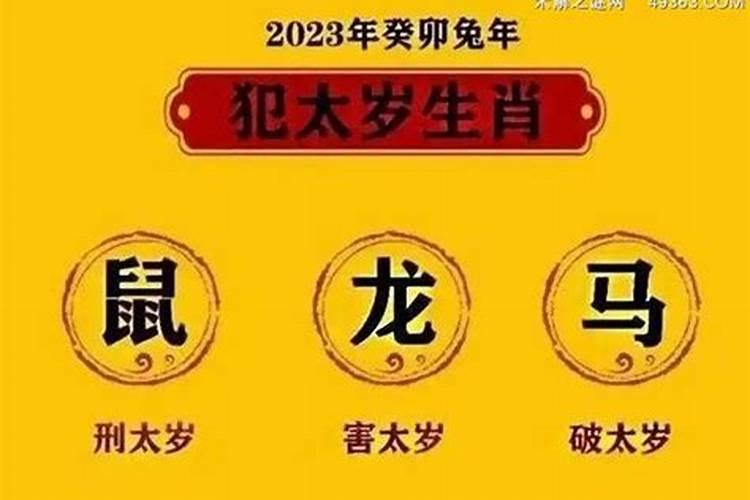 2023年的虎宝宝取什么名字好