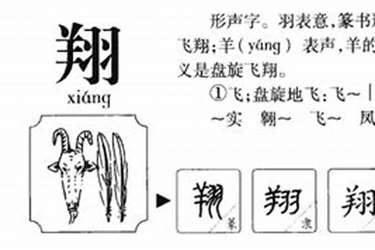 翔字五行属什么属性水