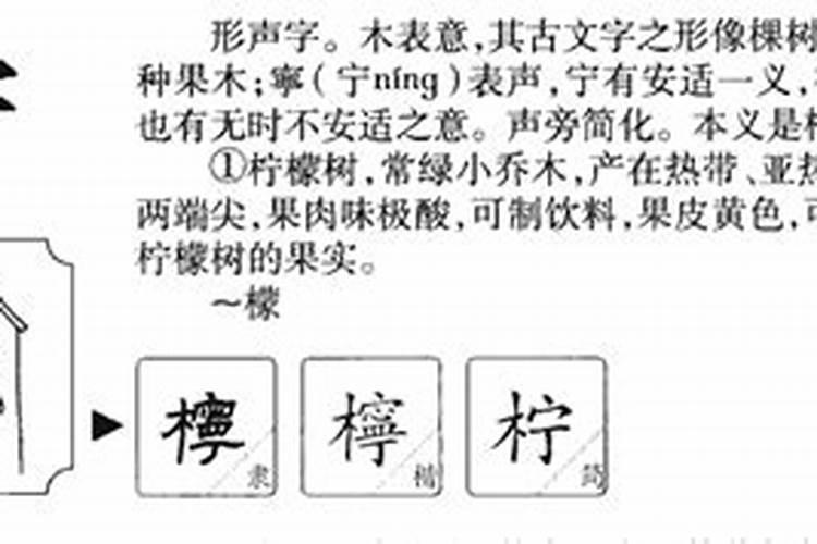 这个字属于五行属什么柠