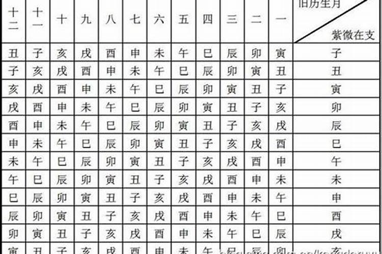 八字算命中的胎元是什么意思