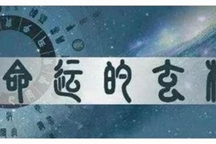 属马2023合太岁好不好