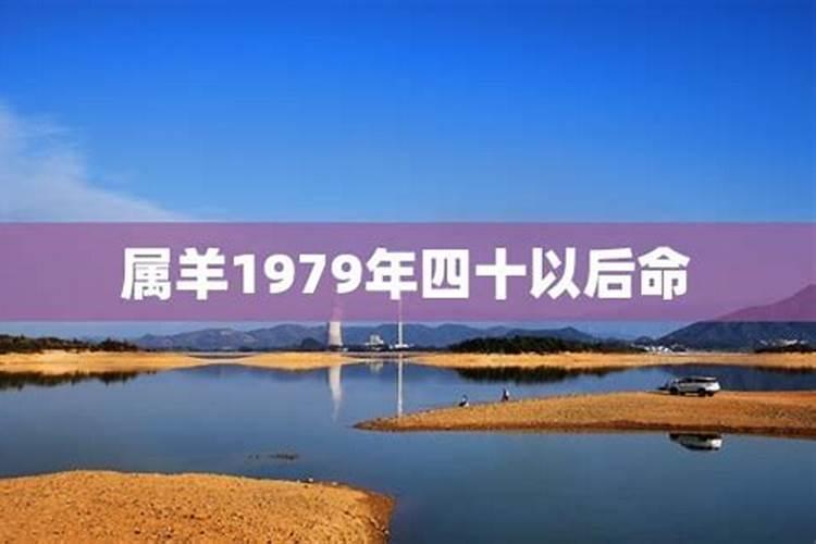 属羊1979年四十以后命事业运