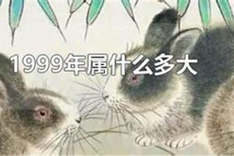 1999年属什么生肖多大年龄