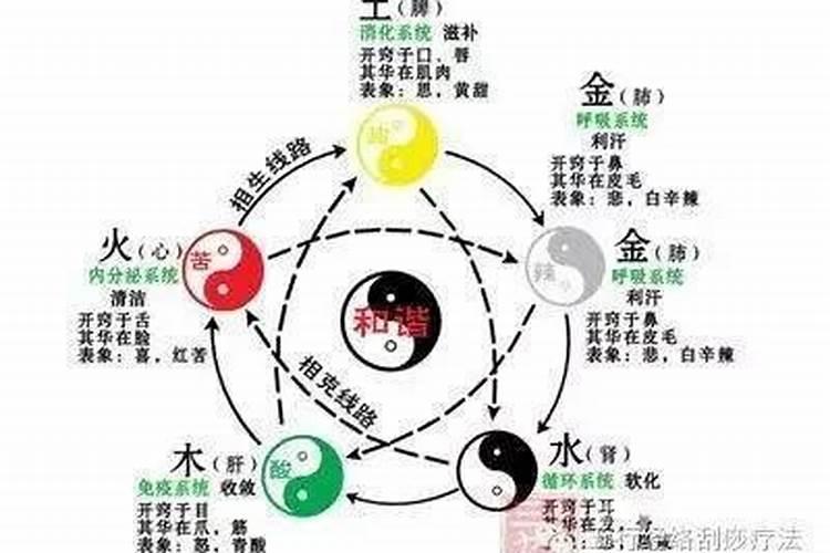 简述五行的概念及特性及其作用