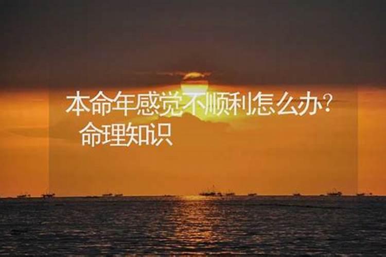 本命年找对象不顺