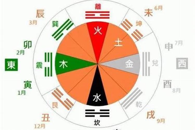 八字是看天干还是地支