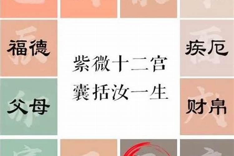 八字命宫解析戍宫