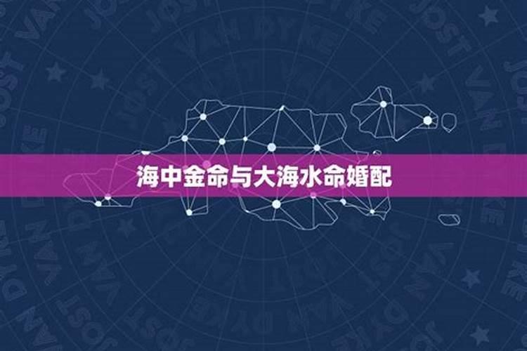 75年兔人在2025年的运势