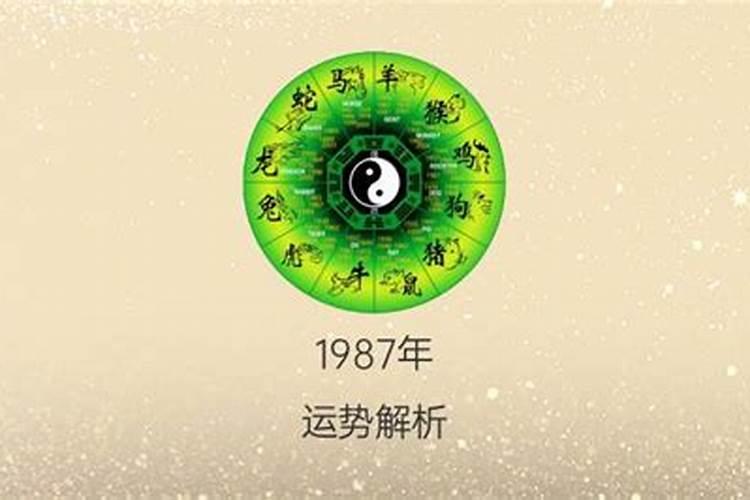 属兔11月份是什么星座的