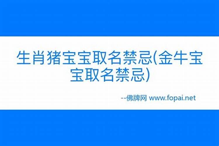 金牛宝宝取名字有政字好吗