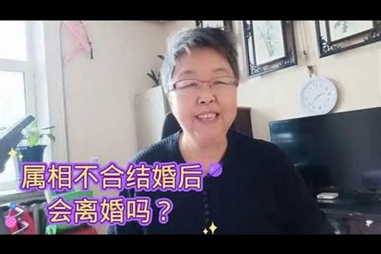 婚姻大忌的两口子生肖