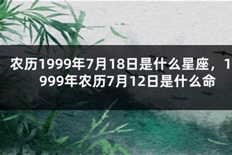 99年农历11月19日是什么星座