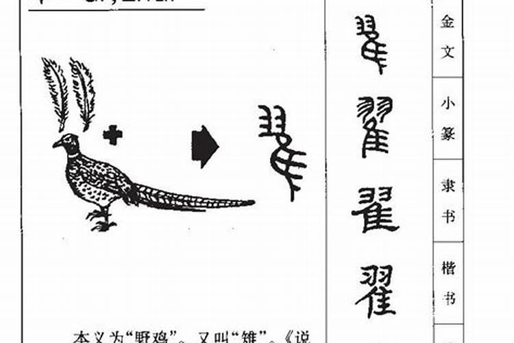 翟字五行属什么的字代表什么意思