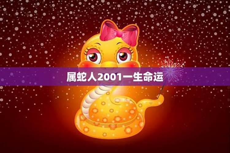 属蛇2001年出生今年运势如何