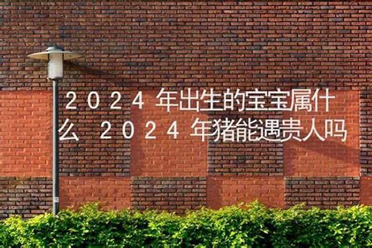 属鼠2023五月运势怎么样呢