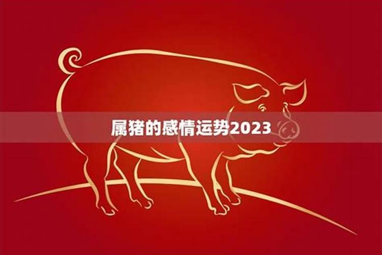 属猪人2023年事业运势下半年