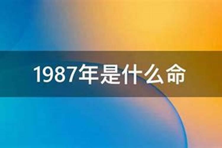 1980年属猴的五行属什么命运