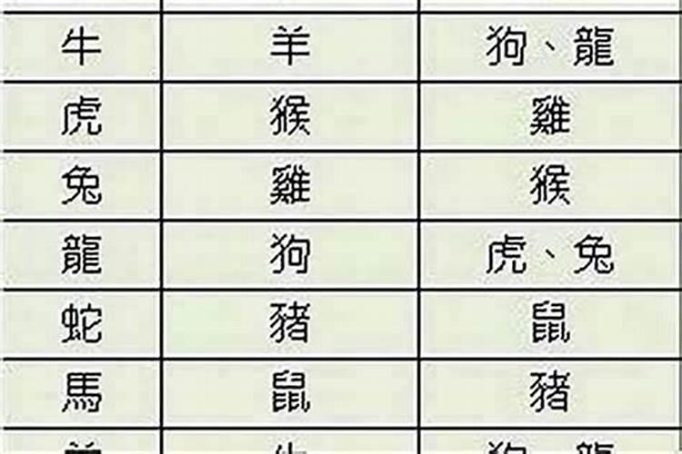 婚姻能相信生肖配对吗知乎