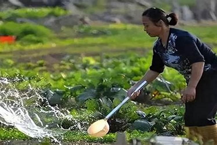 女人梦见自己提水