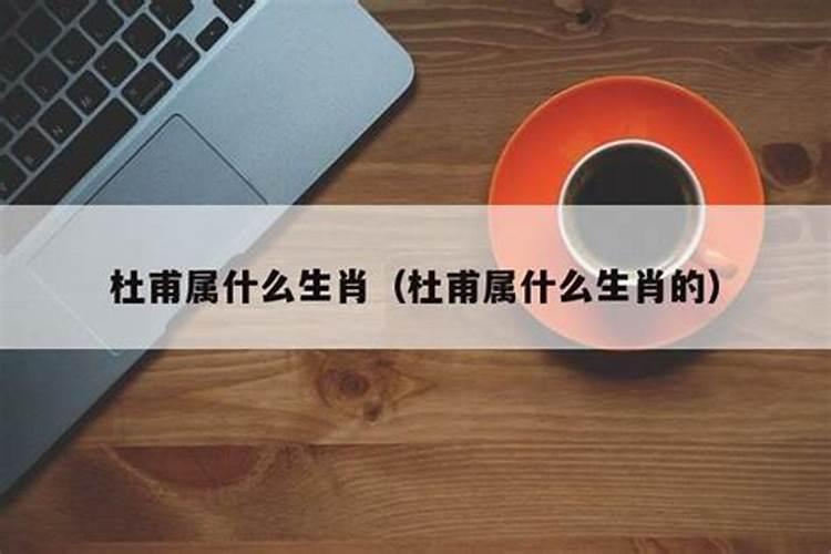 必中陶渊明一般开什么生肖