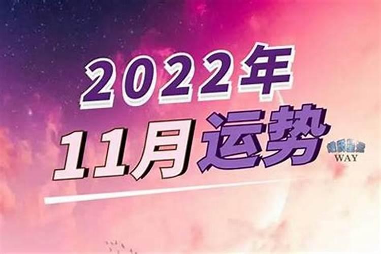 十二星座十一月运势2021八月