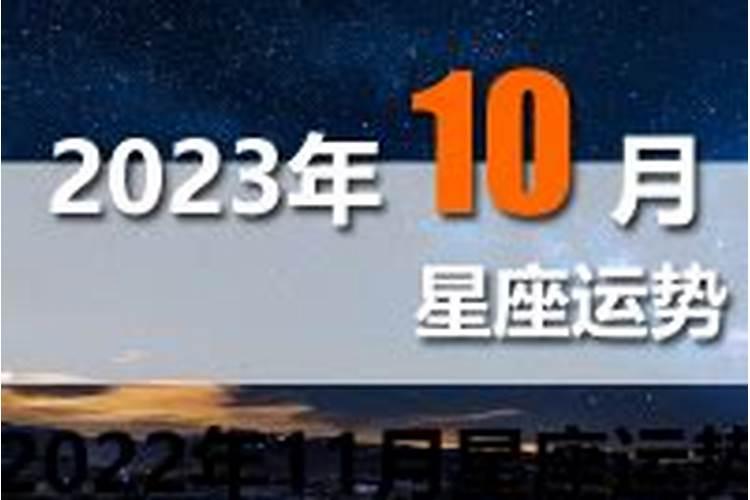 十二星座十一月运势2019年