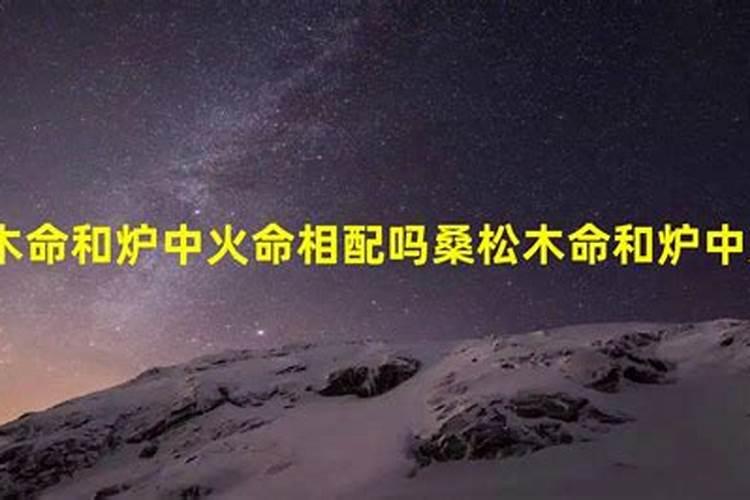 炉中火和海中金八字合不合