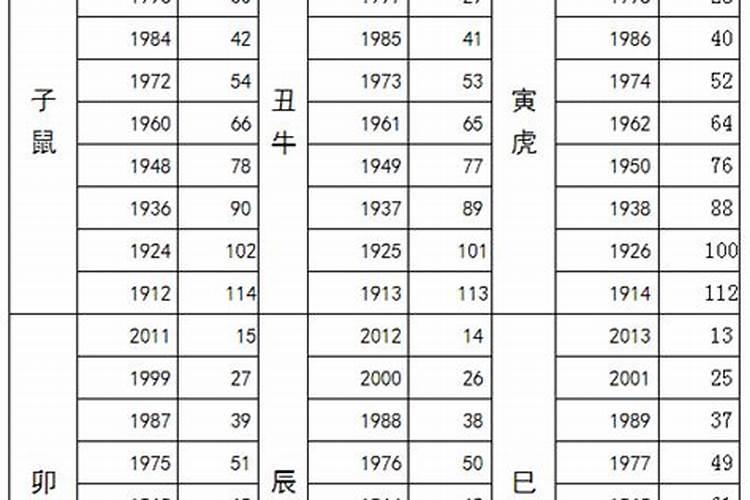 96年农历九月初九出生的命运