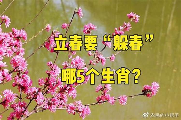 兔年躲春的生肖是什么