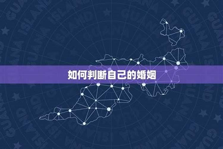 87年属虎的2024年运势