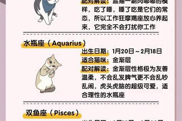 金牛座适合养什么狗和猫